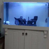 آکواریوم ممبران