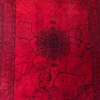 فرش رنگ لاکی(خاص)دو عدد ۹ متری یک عدد۶متری