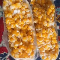 ذرت دون شده تازه آماده