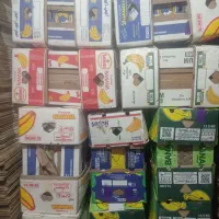 کارتن موزی در حد نوع