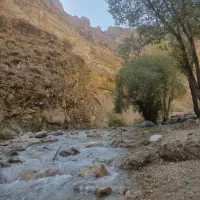 کیف همراه بامدرک گم شده