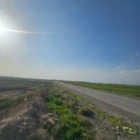 ۱۰۰۰متر باغ یار دشت|فروش زمین و ملک کلنگی|مشهد, کوشک مهدی|دیوار