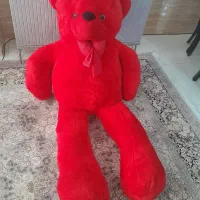 خرس قد ۱۸۰ سانتی
