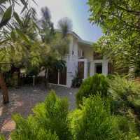 طراحی متفاوت /250متری/دل جنگل/سنددار