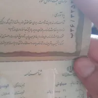 پیدا شده شناسنامه