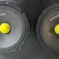 ضبط