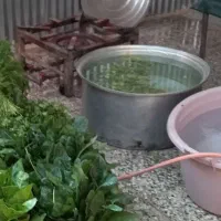 فروش تمامی لوازم سبزی خوردکنی باهم|خردکن، آسیاب، غذاساز|دزفول, |دیوار