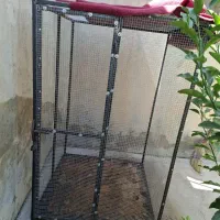 فروش  گنجه مرغ و پرنده
