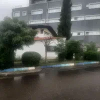 جذب نیروی کار منطقه ازاد انزلی