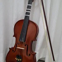 ویولن رناتو۲۲۰