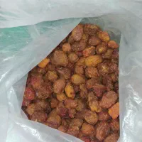 آلوآفتابی
