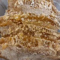 عسل طبیعی کوهستان عمده ۲۵ کیلویی با برگه آزمایش