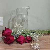 فروش ظروف بدلیل مهاجرت