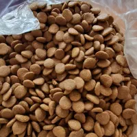 قلاده شانه و غذا خشک مناسب سگ و گربه