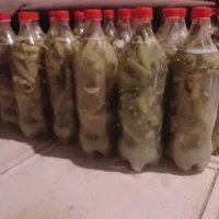 خیارشور
