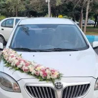 صافکاری جلوی درب منزل