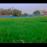 باشگاه فرهنگی ورزشی امید مسجدسلیمان
