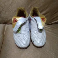 کفش فوتسال اصل ویتنام|کیف، کفش، کمربند|مرند, |دیوار