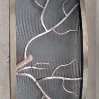 جلو شومینه و باربیکیو