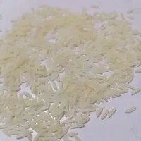 برنج طارم هاشمی دونوج