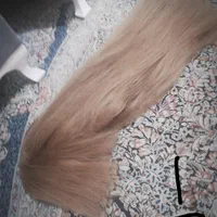 کلاه گیس 2 مدل پوستیژ مو بلند و خوشرنگ فقط 750|فعالیت داوطلبانه|کرج, حیدرآباد|دیوار