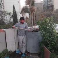 باغبانی سم پاشی تعویض خاک گلدان در تمام نقاط تهران