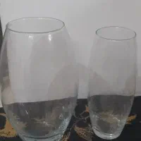تنگ ماهی و اکواریوم