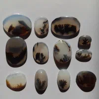 کلکسیون عتیقه سنگ شجر معاوضه با انگشتر شجر زبرجد|کلکسیون اشیاء عتیقه|زنجان, |دیوار