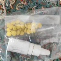 کبوتر پلنگ.انگل.پاکسازی|پرنده|رفسنجان, |دیوار