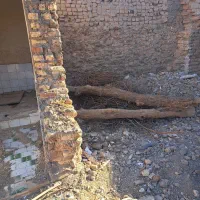 چوب خشک هیزم|خدمات باغبانی و درختکاری|زابل, |دیوار