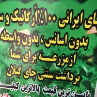 چای اصیل ایرانی