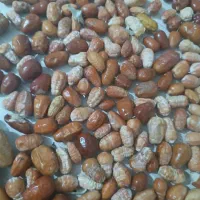 سنجد|خوردنی و آشامیدنی|تهران, بلوار کشاورز|دیوار