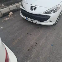 سرقت شده۲۰۷پانا