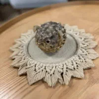 درصد تخفیف روی تمامی اجناس|حراج|گرگان, |دیوار