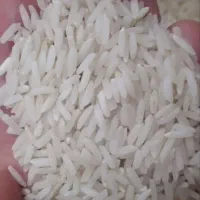 برنج هاشمی وعلی کاظمی