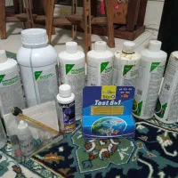 کپسول ونور وخاک بستر|ماهی|شیراز, نصر|دیوار