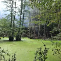 تور یک روزه سنندج