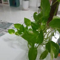 آموزش طراحی حرفه ای