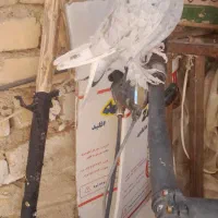 ماده بزن|پرنده|مرودشت, کناره|دیوار