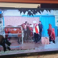 تلویزیون ال ای دی سامسونگ ۳۲ اینچ|تلویزیون و پروژکتور|نسیم‌شهر, |دیوار