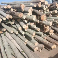 خرید فروش چوب( تر خشک )کلی جزیی