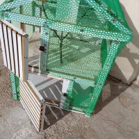 سلام قفس به شکل خونه دوطبقه باچوب MDFساخته شده|لوازم جانبی حیوانات|کرمان, |دیوار