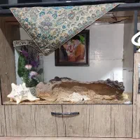 دکور تلویزیون