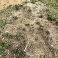 زمین منطقه ازاد بوشهر حسینکی