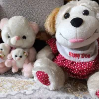 عروسک|اسباب‌‌بازی|شیراز, شیخ روزبهان|دیوار