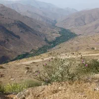 دنبال کارگاه ۸۰ الی ۱۲۰ متری برا نجاری هستم