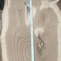 تخته چوب سنجد درخت قدیمی