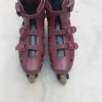 اسکیت بزرگ سال ۵۰۰ هزار