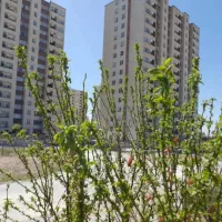 فروش  امتیاز مجتمع سیمرغ