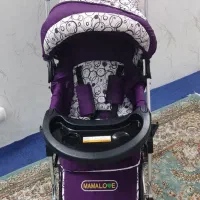 کالسکه دلیجان|کالسکه و لوازم جانبی|تهران, بهداشت|دیوار